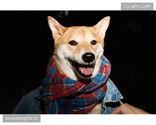 李小鹏家的狗吃的都比我一个月工资高